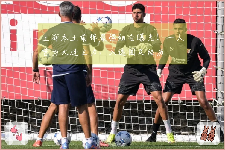 上海本土前锋最强组合曝光!一人曾为大连主力,入选国足经历